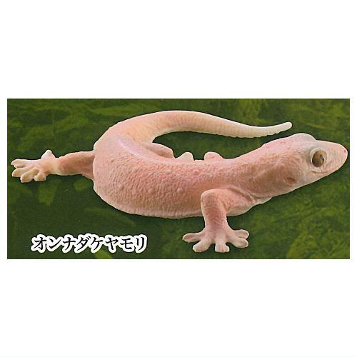 カプセルQ ヤモリ大全 エクストラカラーVer. [5.オンナダケヤモリ]【ネコポス配送対応】【C】