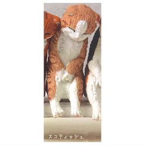 いっしょにねんね にゃんこ [3.スコティッシュ...の商品画像