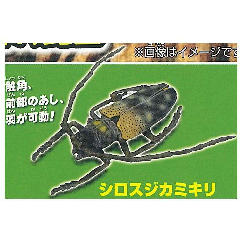 あそべる生物フィギュアシリーズ 昆虫の森 でたぞ！4大昆虫 [3.シロスジカミキリ]【ネコポス配送対...