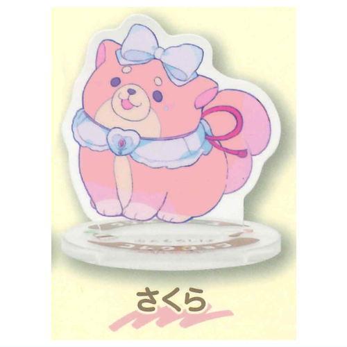忠犬もちしば クリエイターコラボ アクリルスタンド [8.さくら]【ネコポス配送対応】【C】