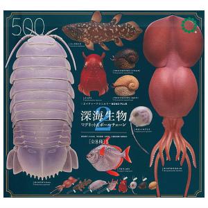 【全部揃ってます!!】ネイチャーテクニカラーMO...の商品画像