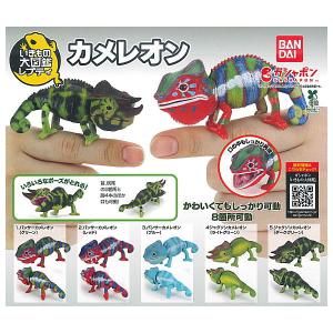 ほねほねザウルス28冊セット 専用 ほねほねザウルスシリーズ 全28冊セット 専用 ほねほね