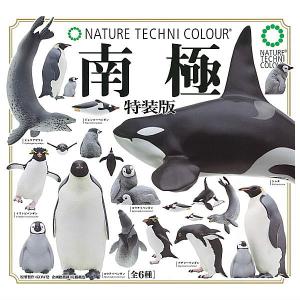 【全部揃ってます!!】ネイチャーテクニカラー 南極 特装版(再販) [全6種セット(フルコンプ)]【 ネコポス不可 】【C】