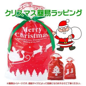 ⭐︎さま専用（クリスマスラッピング付き） クリスマス通常ラッピング梱包(プレゼント包装)【ネコポス不可
