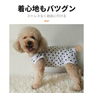 犬用 猫用イヌネコキャット術後服術後着術後ウェ...の詳細画像2