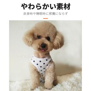 犬用 猫用イヌネコキャット術後服術後着術後ウェ...の詳細画像3