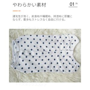 犬用 猫用イヌネコキャット術後服術後着術後ウェ...の詳細画像4