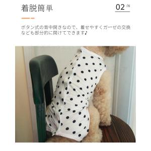 犬用 猫用イヌネコキャット術後服術後着術後ウェ...の詳細画像5