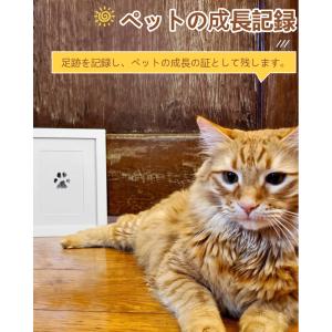 ペット用 足跡 スタンプ キット 4色選択 記...の詳細画像1