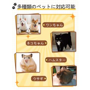 ペット用 足跡 スタンプ キット 4色選択 記...の詳細画像3