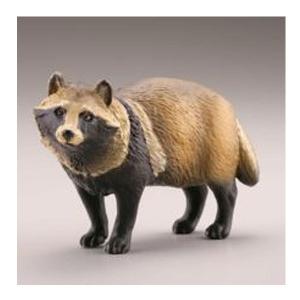 カプセルQミュージアム 日本の動物コレクション3 東京 / 巨大都市と離島 ホンドタヌキ