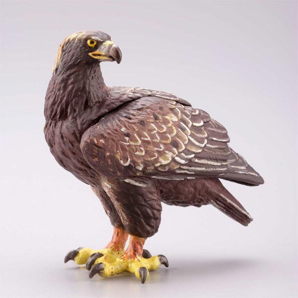 カプセルQミュージアム 日本の動物コレクション8 日本アルプス / 雷鳥が棲む岳 イヌワシ
