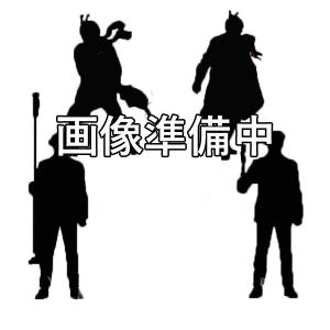 HGシリーズ シン・仮面ライダー 全4種セット｜toyshopside3