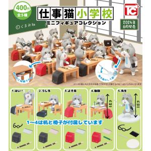 stasto STREET FIGHTER × GRAPE BRAIN ストリートファイター