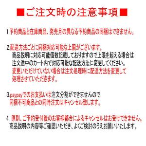ドラゴンボール ワールドコレクタブルフィギュア...の詳細画像1