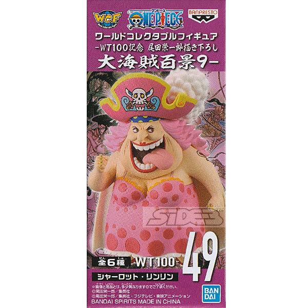 ワンピース ワールドコレクタブルフィギュア WT100記念 尾田栄一郎描き下ろし 大海賊百景9 WT...