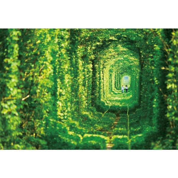 1000ピース 恋のトンネル (49×72cm)（51-215）　[ビバリー]