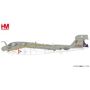 1/72 EA-6B プラウラー ”VAQ-134 退役記念塗装機”（HA5007）　[ホビーマスター]｜toyskameta