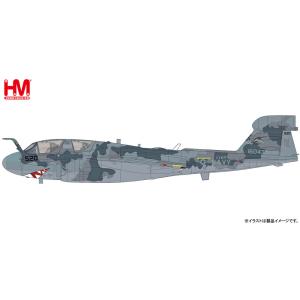1/72 EA-6E プラウラー ”VAQ-142 グレイ・ウルブス” (HA5010)　[ホビーマスター]｜toyskameta