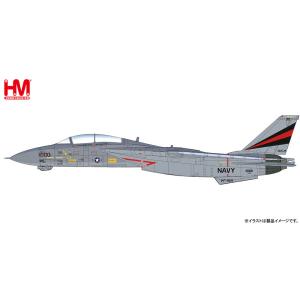 1/72 F-14A トムキャット 第154戦闘飛行隊 ”ブラックナイツ 1999” (HA5233)　[ホビーマスター]｜toyskameta
