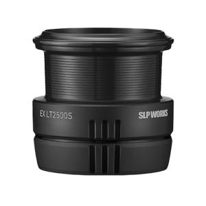 DAIWA（ダイワ） SLPワークス SLPW EX LTスプール2 LT4000S 返品種別A