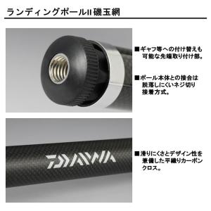 ダイワ(DAIWA) 玉網(タモ) ランディン...の詳細画像2