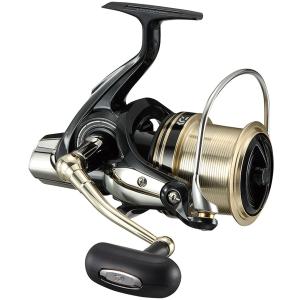 DAIWA（ダイワ） 19 エメラルダス LT3000S-CH-DH ダブルハンドル