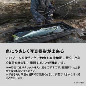 シマノ(SHIMANO) コンパクト フィッシ...の詳細画像2