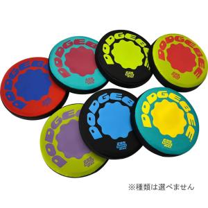 スカイソフトディスク (メール便可) スポーツ フリスビー 池田工業社