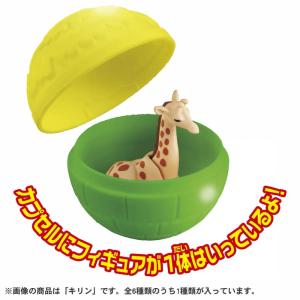 アニア ガチャっとコロコロカプセル