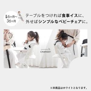 NOVUS ノウス ベビーハイチェア (ホワイ...の詳細画像5