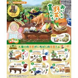 9月28日発売予定 ぷちサンプル おいしい野菜の...の商品画像