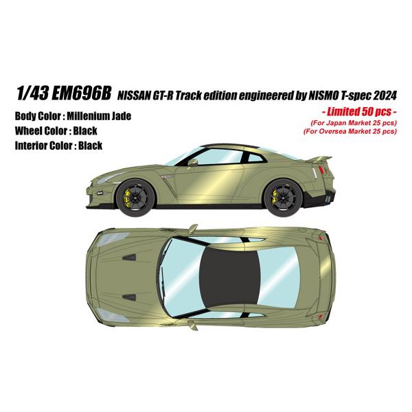 EIDOLON 1/43 NISSAN GT-R Track edition engineered ...