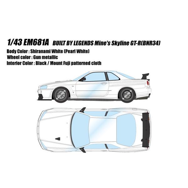 EIDOLON 1/43 BUILT BY LEGENDS マインズ スカイライン GT-R(BNR...