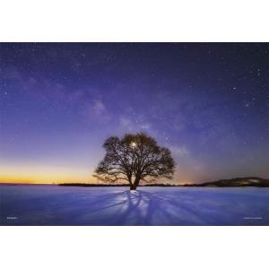 ジグソーパズル 300ピース 光るパズル KAGAYA ハルニレの木と天の川 (北海道）26x38cm 03-906｜toystadium-jigsaw