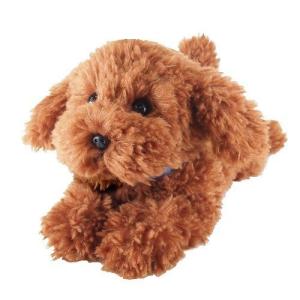 ひざわんこ トイプードル ブラウン ぬいぐるみ 犬 動物 アニマル 全長37cm