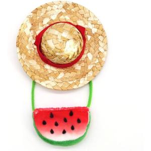 6月発売予定 かえるのピクルス 麦わら帽子 スイカポシェットセット 定形外郵便