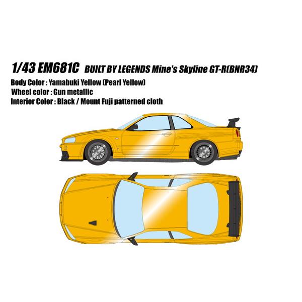 EIDOLON 1/43 BUILT BY LEGENDS マインズ スカイライン GT-R(BNR...