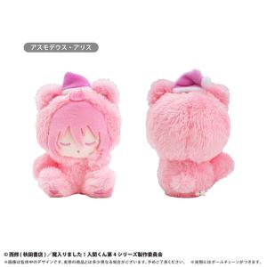 おやすみたぴぬい アスモデウス・アリスの買取情報