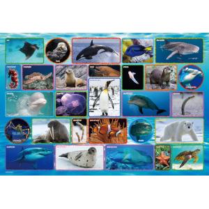 ジグソーパズル 100ピース 学べるジグソー 水族館 38x26cm 100-042　送料無料｜toystadiumookawaya