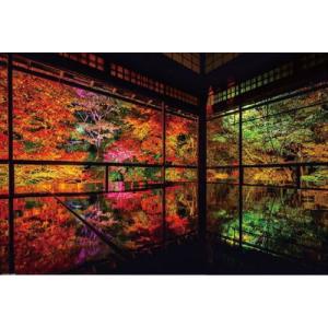 ジグソーパズル 1000ピース 光るパズル KAGAYA 月に咲く 京都 50×75cm