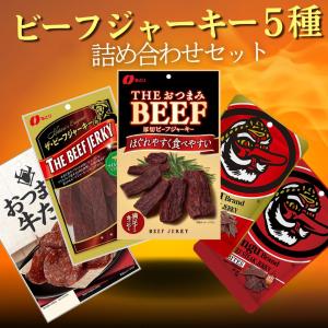 おつまみ ビーフジャーキー ジャーキー 5種 詰め合わせ セット なとり テング｜tplab