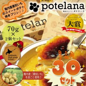 プリン カタラーナ 〜濃厚焼プリンアイス〜 ポテラーナワッカナイ 2個入 30セット 【パチンコ店様用景品】｜tppn