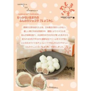 わっかないうまれのふんわりショコラ★しょこわ５個入３０セット【パチンコ店様用景品】