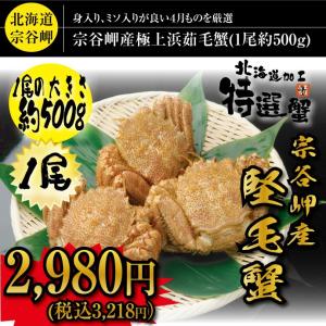 ＜ 毛ガニ 毛蟹 毛がに ＞ 稚内宗谷岬産 堅 毛ガニ 1尾セット 約500ｇ ボイル済み( お歳暮 ギフト カニ )