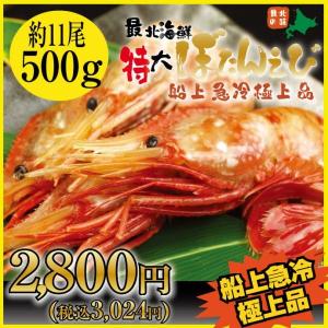 < 船内急速冷凍 > Ｌサイズ 特大サイズ ぼたんえび ５００ｇ（約１１尾）｜tppn