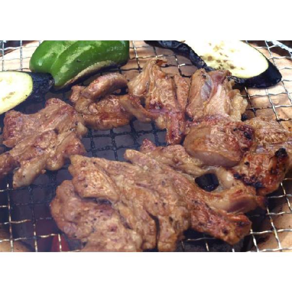 大容量 ラム肉 サロベツファーム 特製味付けジンギスカン 600g