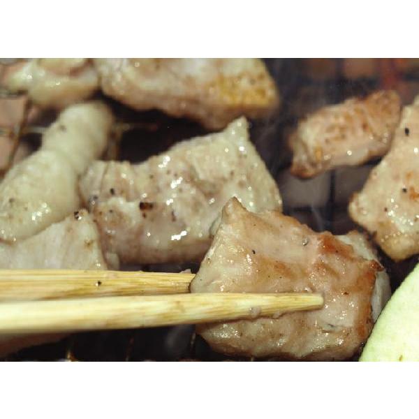 ★がつんとにんにく味★すごーい希少価値です♪サロベツファームの直腸塩ホルモン