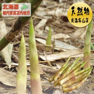 &lt; 送料無料 &gt; 北海道 たけのこ 天然物 天然根曲がり竹 1kg セット