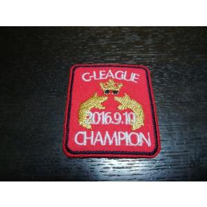 プロ野球応援グッズ（広島用）/セリーグチャンピオンワッペン2016